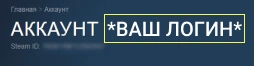 Где посмотреть логин Steam