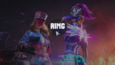 Купить приватный продукт - UP-GAME.PRO