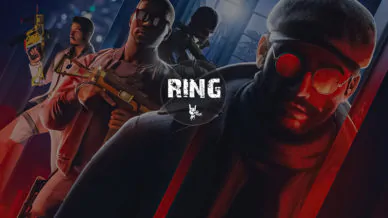 Купить приватный продукт - UP-GAME.PRO