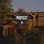 The Texas Chain [CAT]