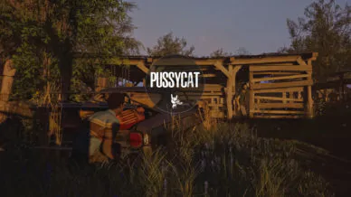 The Texas Chain [CAT]