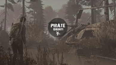 DAYZ PIRATE [BI]