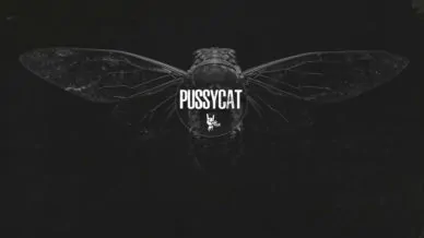 Купить приватный продукт - UP-GAME.PRO