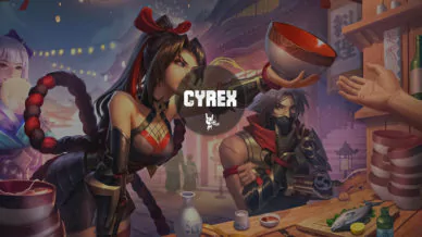 Купить приватный продукт - UP-GAME.PRO