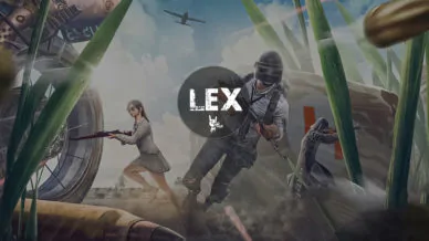 Купить приватный продукт - UP-GAME.PRO