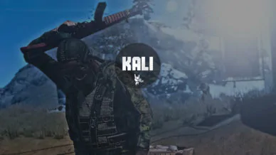 Купить приватный продукт - UP-GAME.PRO