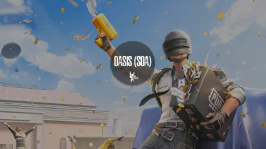 Купить приватный продукт - UP-GAME.PRO