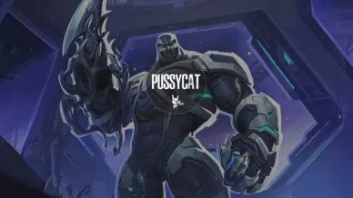 Marvel Rivals [PussyCat]