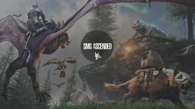 Купить приватный продукт - UP-GAME.PRO