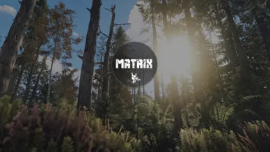 Купить приватный продукт - UP-GAME.PRO